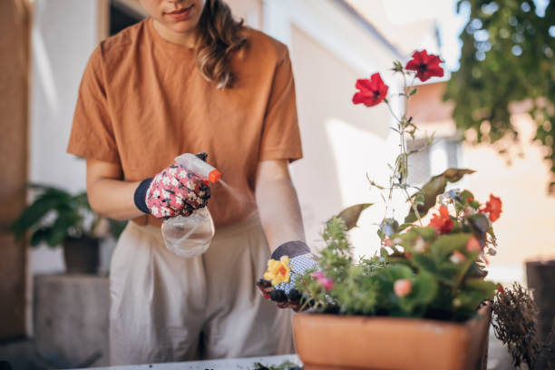 istock Woman nurturing plants in backyard 1423360067