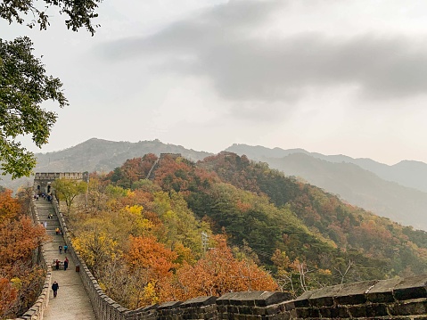 Foggy November walk over The Great Wall of China. The leaves just started to change the color and the hilly scenery with the colorful leaves and the fresh air was just like in a fairy tale.