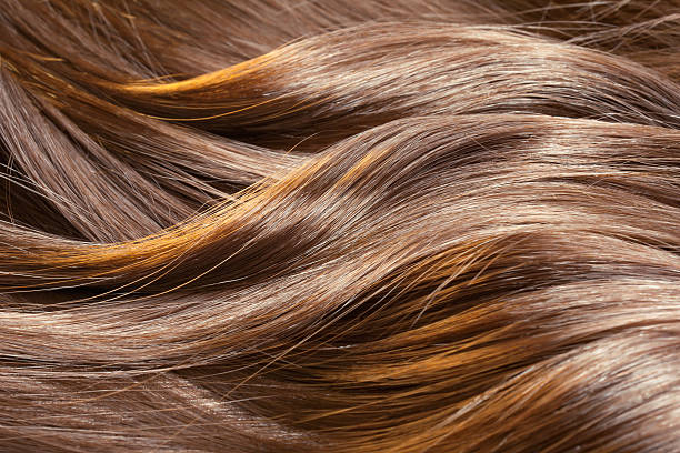 hermoso brillante pelo sano textura - cabello castaño fotografías e imágenes de stock