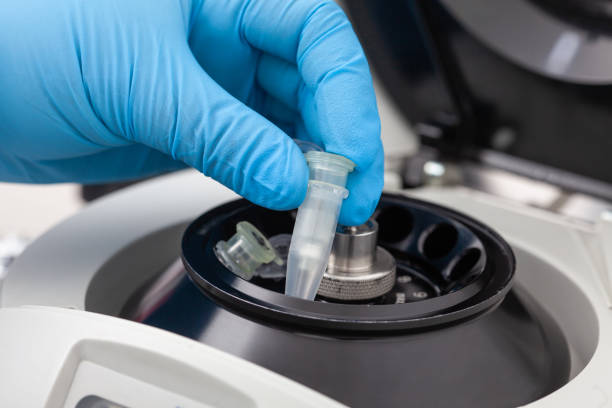 istock Closeup of a scientist hand placing a tube into an small table centrifuge. Spin column-based nucleic acid purification technique. Diagnosis of human papillomavirus virus infection. 1423368413