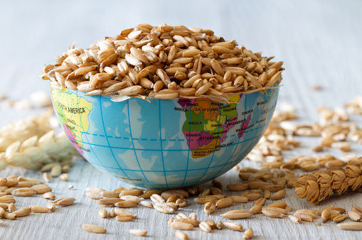 Globe filled with grain, concept of global food scarcity and hunger, export and import cereal background
