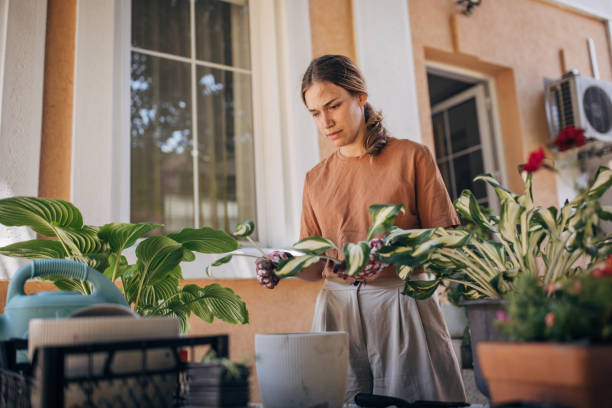 istock Woman planting house plants backyard 1423370561