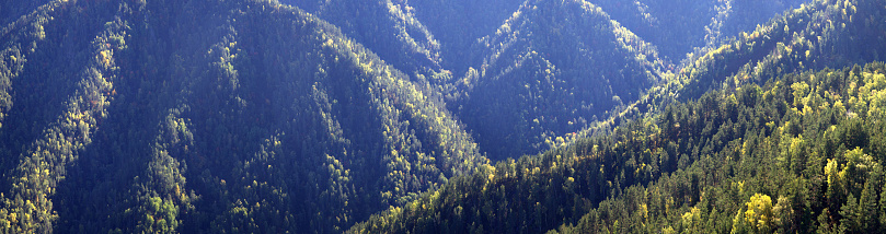 Mountain slopes overgrown with dense forest, banner background