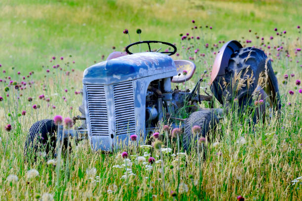 istock Old Vintage Tractor Antique in Field with Flowers Abandoned 1423372000