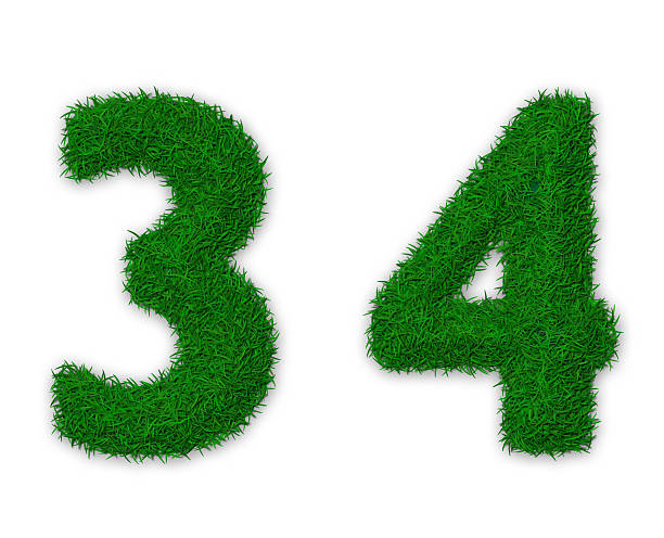 grassy números - number number 4 three dimensional shape green imagens e fotografias de stock
