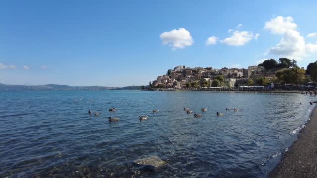 Panning right at Bracciano lake with many birds swimming in clean water and beautiful ancient skyline of medieval village of Anguillara Sabazia