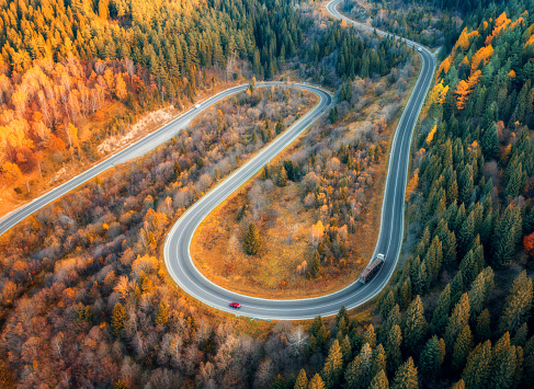 Aerial view of winding road with car in colorful autumn forest at sunset. Top view from drone of mountain road in woods. Beautiful landscape with roadway, trees with orange leaves in fall. Ukraine