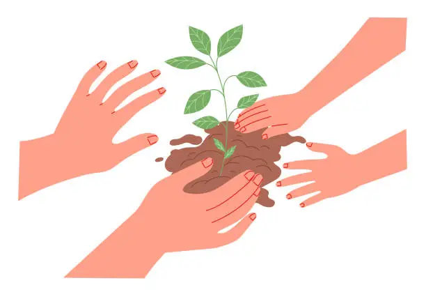 Vector illustration of Care of the plant, planting. Hands of adult and child with a sprout in the ground