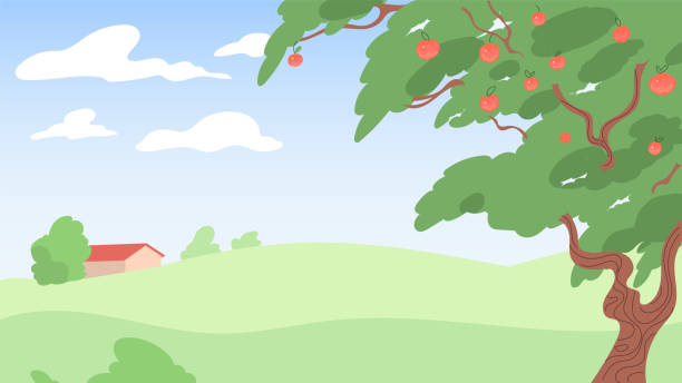 Apple Tree Ina Field 27,200+ Apple Tree Field Stock Photos, Pictures & Royalty-Free Images ...