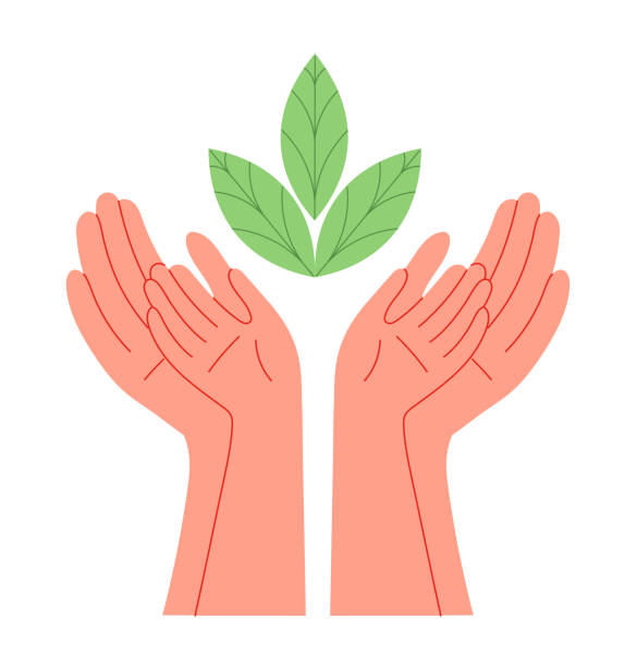 Hands of adult and child reach for the leaves Hands of adult and child reach for the leaves. legacy concept stock illustrations