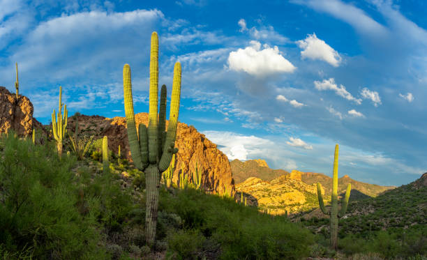 Sunset over bulldog canyon in Apache junction az in the Sonoran desert stock photo