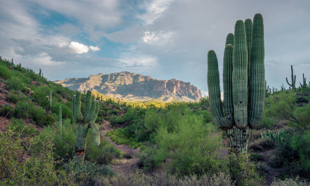 istock Sunset on the Superstition Mountains from bulldog canyon in Apache junction AZ 1423381697