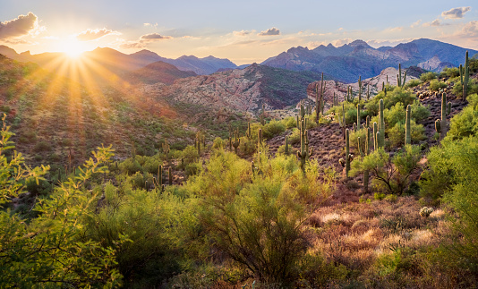 Sun setting over bulldog canyon with Saguaro cactus and desert mountain landscape in the Superstition Wilderness in the Sonoran desert