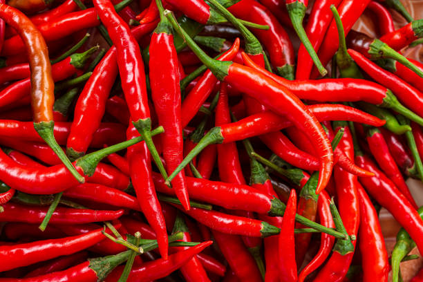 istock chili background,Red hot chili peppers pattern Chili texture background. Close up landscape background of hot chili peppers. Roadside vegetable market. Red chili group. 1423382406