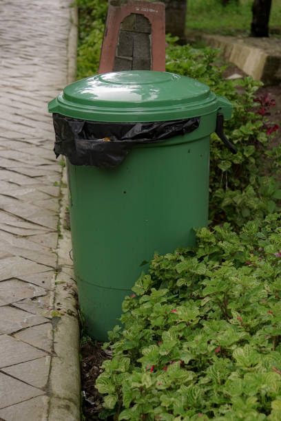 istock Trash cans on the side of the pedestrian path 1423382897