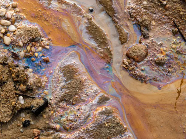 Photo of Oil Spill Pollution in the Water