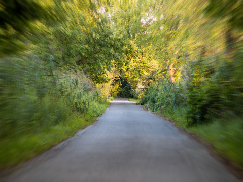 Rushing through a forest. Running or riding fast on a footpath. Motion blurred trees and green leaves. Could also be the point of view of a trippy person with an anxiety attack in the woodlands.