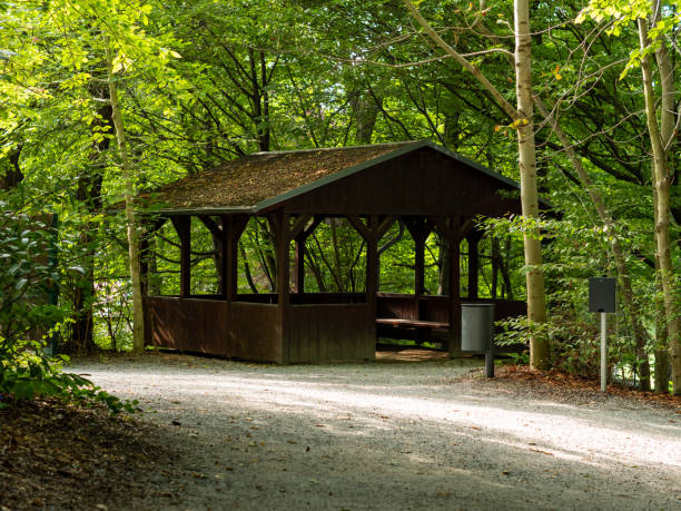 istock Wooden Cabin for Tourists in a Forest 1423384806