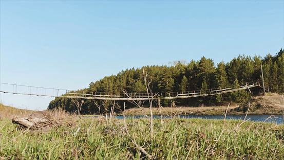 Wooden bridge and field. Video. A small wooden bridge over a creek. Grass, blue sky, reeds. A wooden bridge is made for crossing a rice field