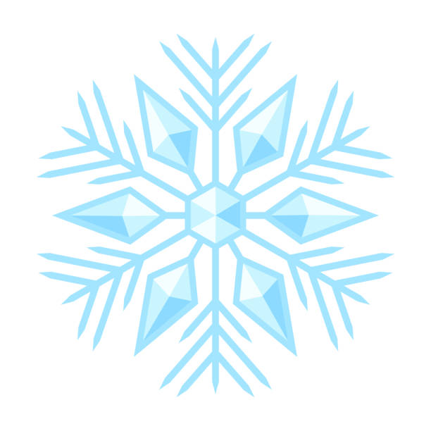 ilustracja płatka śniegu. zimowa dekoracja na wesołych świąt i szczęśliwego nowego roku. - rime stock illustrations