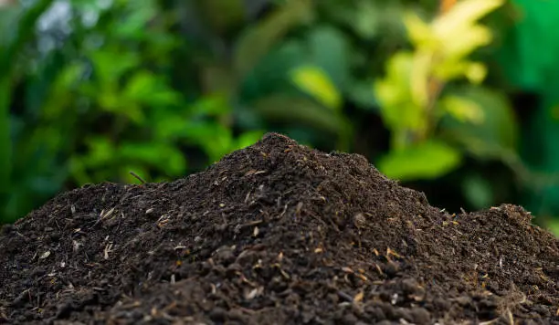 Photo of fertile soil background for environmental theme