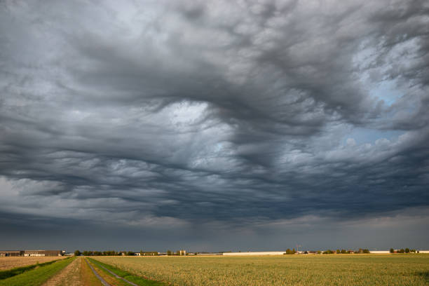 nuvole caotiche su un ampio paesaggio aperto - storm wheat storm cloud rain foto e immagini stock