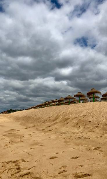 istock Beach in Portugal sand dunes 1423391489