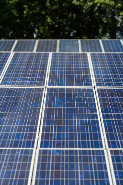 istock Blue solar panels. Solar power plants.  Alternative source of electricity. Solar farm. 1423392146