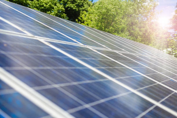 istock Blue solar panels. Solar power plants.  Alternative source of electricity. Solar farm. 1423392352