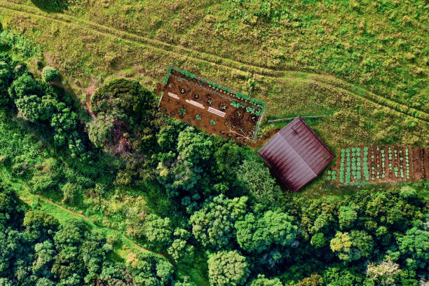 istock Living off the grid: tiny house with vegetable garden, aerial view 1423393755