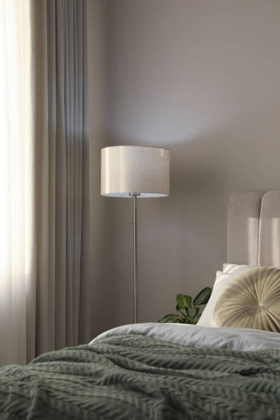 istock Stylish floor lamp and plant in bedroom. Interior element 1423393920