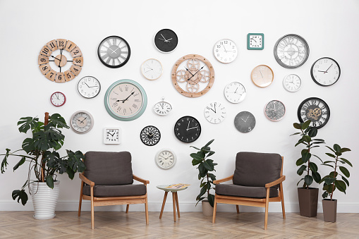 Comfortable furniture, beautiful houseplants and collection of different clocks on white wall in room
