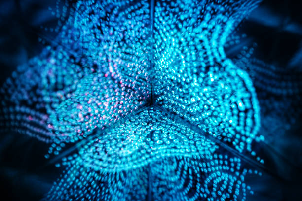 istock Abstract kaleidoscope background. Beautiful multicolor kaleidoscope texture. Unique kaleidoscope design. 1423394175