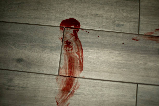 Blood on laminate. Bloody trail on floor. Dirt in room. stock photo