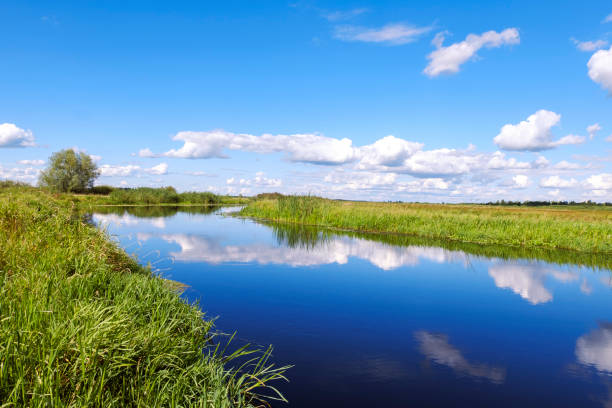 istock Clouds reflections the water.  Wild river nature cloudscape summer day. Rushes by swamp and beautiful blue cloud sky. 1423395165