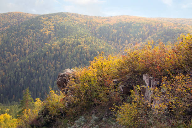 istock Autumn landscape on a sunny day - forested mountains, rocks, lush grass. 1423398809