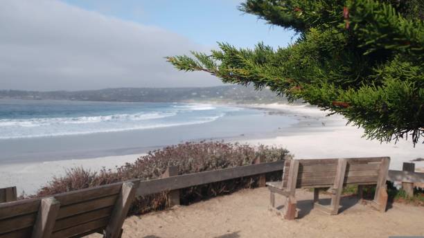 istock Empty wooden bench, rest on footpath trail. Ocean beach, California coast, trees 1423399156