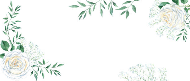 istock Rustic wedding watercolor banner. White creamy roses, gypsophila, greenery isolated on white background. Floral design frame. Can be used for cards, banners, blog templates. 1423403469
