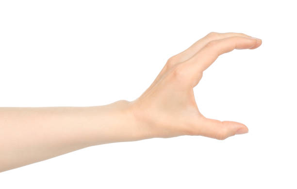 istock Woman hand shows virtual holding something, on white background 1423405582