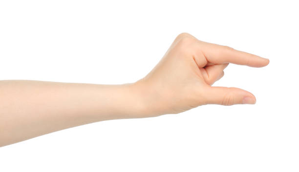 istock Woman hand shows virtual holding something, on white background 1423405614