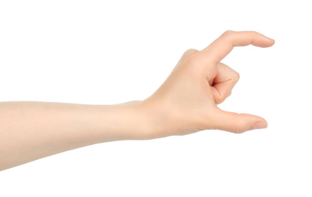 istock Woman hand shows virtual holding something, on white background 1423405622