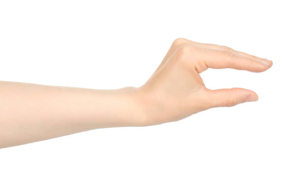 istock Woman hand shows virtual holding something, on white background 1423405630