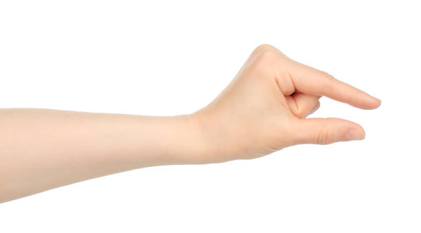 istock Woman hand shows virtual holding something, on white background 1423405645