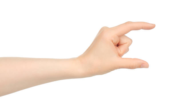 istock Woman hand shows virtual holding something, on white background 1423405669