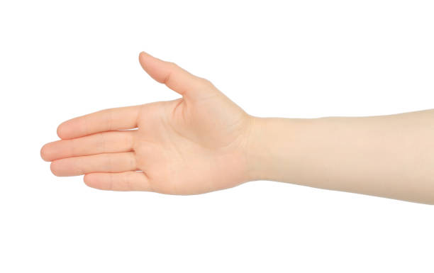 istock Woman hand shows handshake, on white background 1423405683