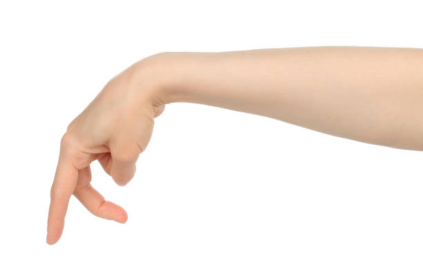 istock Woman hand shows finger walking, on white background 1423405705