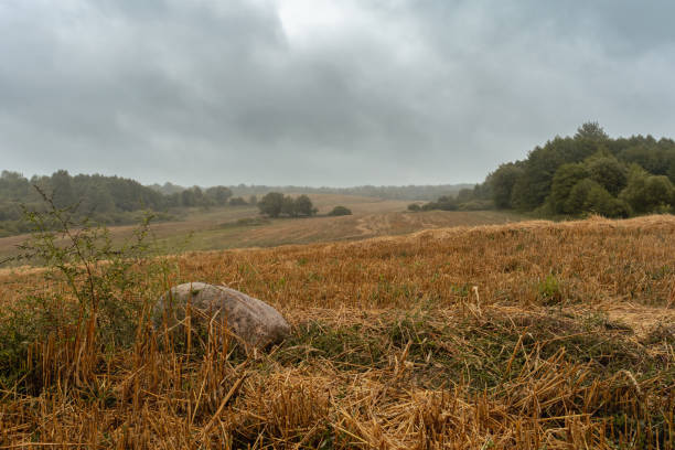 pole po zbiorach z suchą trawą i słomą. duży kamień na polu rolniczym. pochmurna pogoda z deszczowym niebem. dramatyczny jesienny krajobraz - storm wheat storm cloud rain zdjęcia i obrazy z banku zdjęć