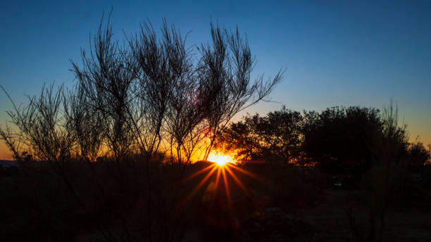 istock Atardecer en el parque natural 1423408953