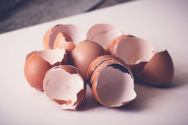 Broken egg shells close up. Eggshell on white table stock photo
