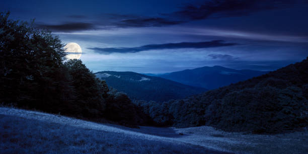 istock alpine meadows at night in summer 1423411813
